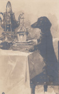 Dackel Teckel Bassotto Dachshund Dog At Dinner Table Old Postcard Signed CR Carl Reichert - Dogs