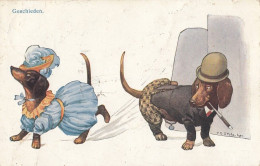 Dackel Teckel Bassotto Humanised Dachshund Dog Couple Old Postcard Signed V.O.Stolz 1911 - Hunde