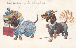 Dackel Teckel Bassotto Humanised Dachshund Dog Couple Old Postcard Signed V.O.Stolz 1907 - Hunde