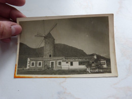 BC29-23 Carte Photo Espagne Moulin Molen Alcudia Mallorca Molino Molen - Mallorca