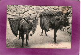 65  LES PYRÉNÉES   Les Moyens De Locomotion Dans La Haute Montagne  Anes Bâtés N° 383 - Andere & Zonder Classificatie