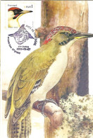 Portugal - Maximum Card 2007 :  European Green Woodpecker - Picus Viridis - Specht- & Bartvögel