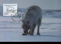 Groenland - MK - Honden                                        - Sonstige & Ohne Zuordnung