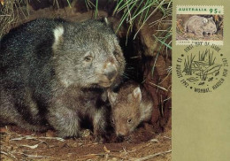 Australië  - MK - Australian Wildlife )                            - Cartas Máxima