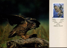 Aland - MK - WWF : Uil (owl)                                     - Ålandinseln