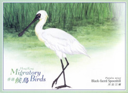 Hong Kong - Postkaart - Vogels                                  - Sonstige & Ohne Zuordnung