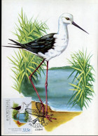 Portugal - MK - Vogels                                            - Maximum Cards & Covers