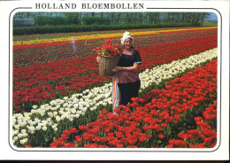 Holland Bloembollen - Sonstige & Ohne Zuordnung