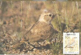 SWA (South West Africa) - Maximum Card1988 :   Gray's Lark  -  Ammomanopsis Grayi - Pájaros Cantores (Passeri)