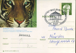 Postkarte - 44 Münster, Westfalen - Covers & Documents