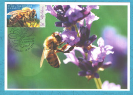 Moldova , 2024 , World Bee Day , Insects, Honeybees ,Personal Stamp, Maxicard - Moldavie