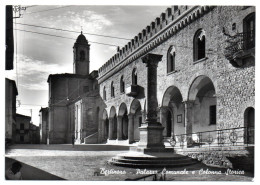 Bertinoro - Palazzo Comunale E Colonna Storica - Other & Unclassified