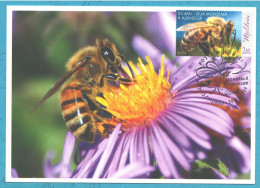 Moldova , 2024 , World Bee Day , Personal Stamp, Maxicard - Moldavie