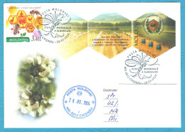 Moldova , 2024 , World Bee Day , Special Postmark - Moldavia