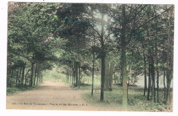 FR-5229  VINCENNES : Les Bois - Vers La Lac Des Minimes - Vincennes