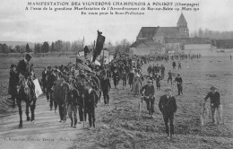 POLISOT (Aube) - Manifestation Des Vignerons Champenois - En Route Pour La Sous-Préfecture - Cheval, Champagne - Other & Unclassified