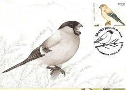 Portugal Acores - Maximum Card 2011 :  Azores Bullfinch  -  Pyrrhula Murina - Sperlingsvögel & Singvögel