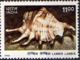 India  - 1998 - Shell - Lambis Lambis  - HV -  MNH . ( OL 08/11/2022) - Nuovi