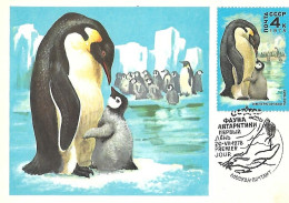 Russia CCCP - Maximum Card 1978 :  Emperor Penguin  -  Aptenodytes Forsteri - Pingouins & Manchots