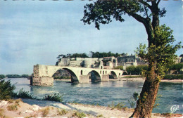 AVIGNON - Le Pont-Saint-Bénézet - Avignon