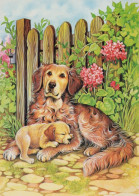 DOG Animals Vintage Postcard CPSM #PAN772.A - Hunde