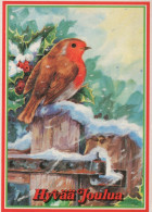 VOGEL Tier Vintage Ansichtskarte Postkarte CPSM #PAN041.A - Vögel