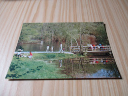 Guilers (29).Promenade Dans Le Parc Du Bois De Kéroual - Carte Animée. - Autres & Non Classés