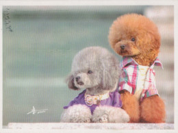 CANE Animale Vintage Cartolina CPSM #PBQ335.A - Hunde