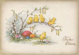 PASCUA POLLO Vintage Tarjeta Postal CPSM #PBO967.A - Ostern