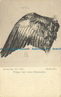 R634557 Albertina. Wien. Flugel Der Toten Blauracke. Albrecht Durer - World