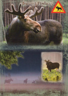 HIRSCH Tier Vintage Ansichtskarte Postkarte CPSM #PBS584.A - Sonstige & Ohne Zuordnung