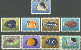 POLAND 1967 FISH** - Vissen