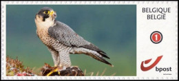 DUOSTAMP** / MYSTAMP** - Faucon Pèlerin / Slechtvalk / Wanderfalke / Peregrine Falcon / Falcon Peregrinus - Eagles & Birds Of Prey