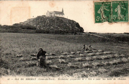 N°3564 W -cpa île De Bréhat -Brehatins Préparant Le Glé- - Ile De Bréhat