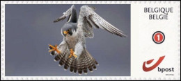 DUOSTAMP** / MYSTAMP** - Faucon Pèlerin / Slechtvalk / Wanderfalke / Peregrine Falcon / Falcon Peregrinus - Nuevos