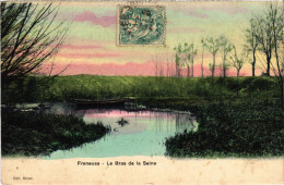 CPA FRENEUSE Bras De Seine (1412103) - Freneuse