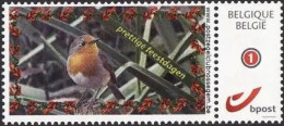 DUOSTAMP/MYSTAMP** - Prettige Feestdagen - Rouge Gorge / Roodborstje / Robin - PZC / PC / PK - Nossegem - Zangvogels