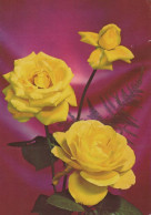 FIORI Vintage Cartolina CPSM #PAS023.IT - Flowers