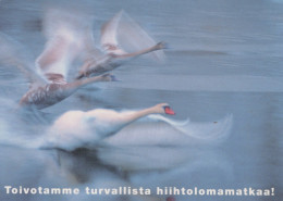UCCELLO Animale Vintage Cartolina CPSM #PAN285.IT - Vögel