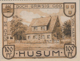 100 PFENNIG 1921 Stadt HUSUM Schleswig-Holstein UNC DEUTSCHLAND Notgeld #PI816 - Lokale Ausgaben