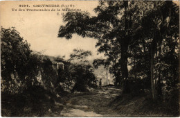 CPA CHEVREUSE Vu Des Promenades De La Madeleine (1412393) - Chevreuse