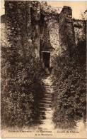 CPA CHEVREUSE Escalier Du Chateau De La Madeleine (1412335) - Chevreuse