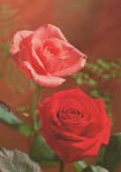 FLOWERS Vintage Ansichtskarte Postkarte CPSM #PAS080.DE - Fleurs