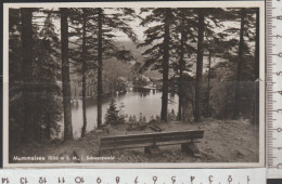 Mummelsee 1036 M ü. M. Im Schwarzwald Nicht Gelaufen (AK 4445) Günstige Versandkosten - Villingen - Schwenningen