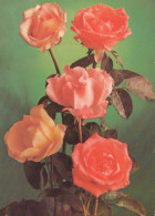 FLOWERS Vintage Ansichtskarte Postkarte CPSM #PAR359.DE - Flowers