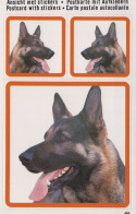 HUND Tier Vintage Ansichtskarte Postkarte CPSM #PAN734.DE - Hunde