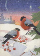 VOGEL Tier Vintage Ansichtskarte Postkarte CPSM #PAM975.DE - Vögel