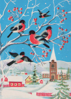 VOGEL Tier Vintage Ansichtskarte Postkarte CPSM #PAM788.DE - Birds