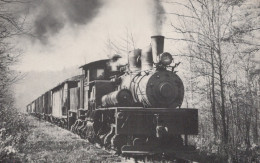 ZUG Schienenverkehr Eisenbahnen Vintage Ansichtskarte Postkarte CPSMF #PAA452.DE - Treni