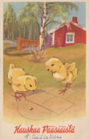 PASQUA POLLO UOVO Vintage Cartolina CPA #PKE099.IT - Ostern